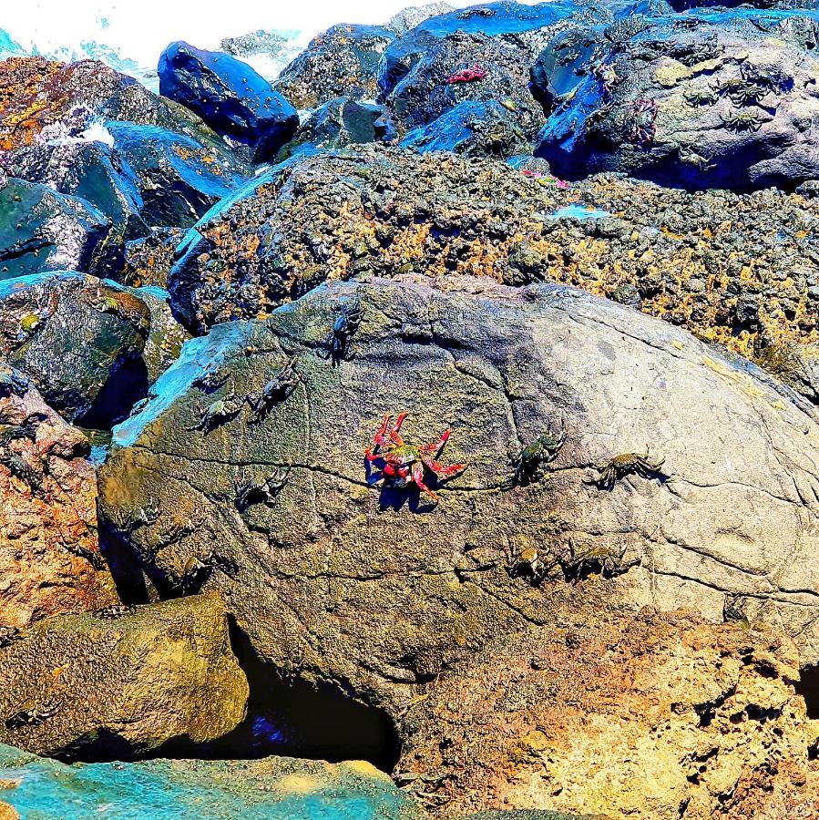 "The Red Crab Studio" By Bbhome At Gran Canaria Airport - Wifi 300 Mbps El Burrero Екстер'єр фото